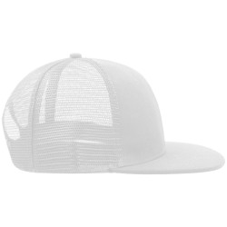 Snap Mesh